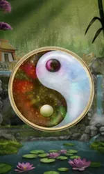Panda Money